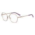 Rose Gold Metal Glasses (Frames)