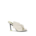 White Lamb Ovis Aries Aries Mules