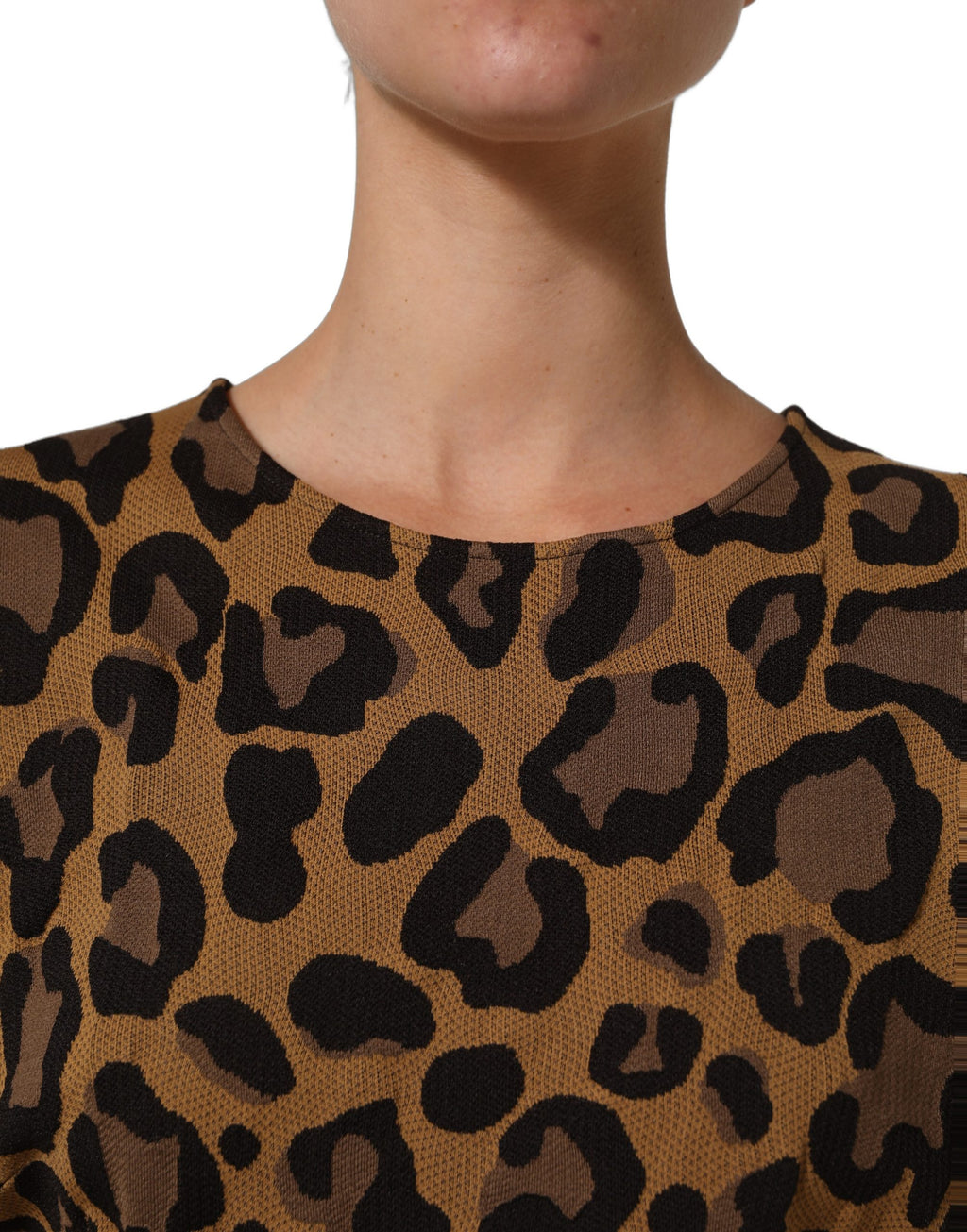 Brown LeopardPrint Flared A-line Mini Dress