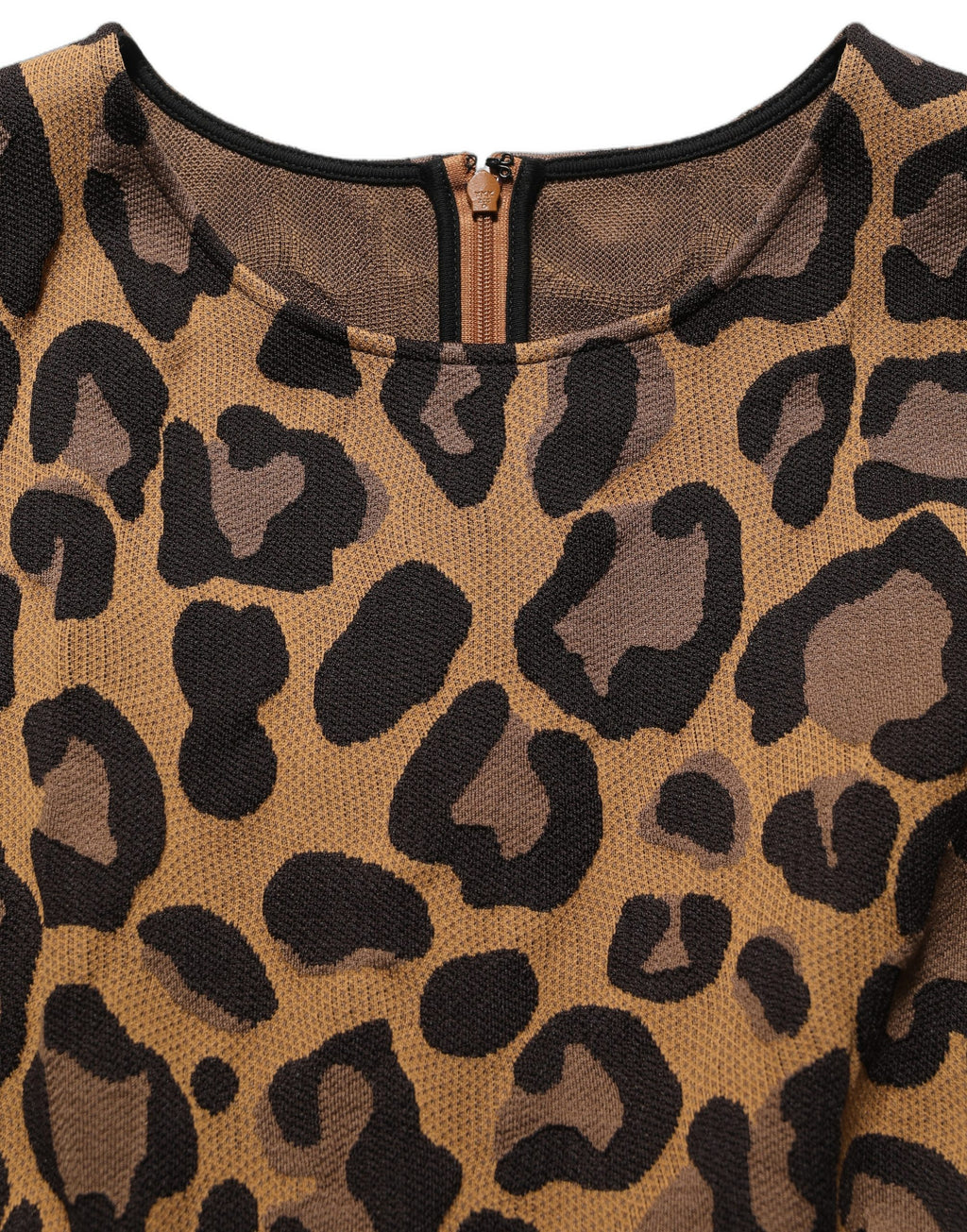Brown LeopardPrint Flared A-line Mini Dress