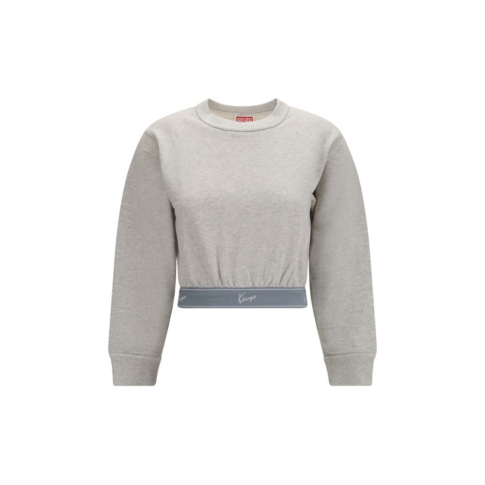 Gray Cotton Sweatshirt