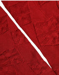 Men Red 100% Silk Mid Calf Accessory Socks