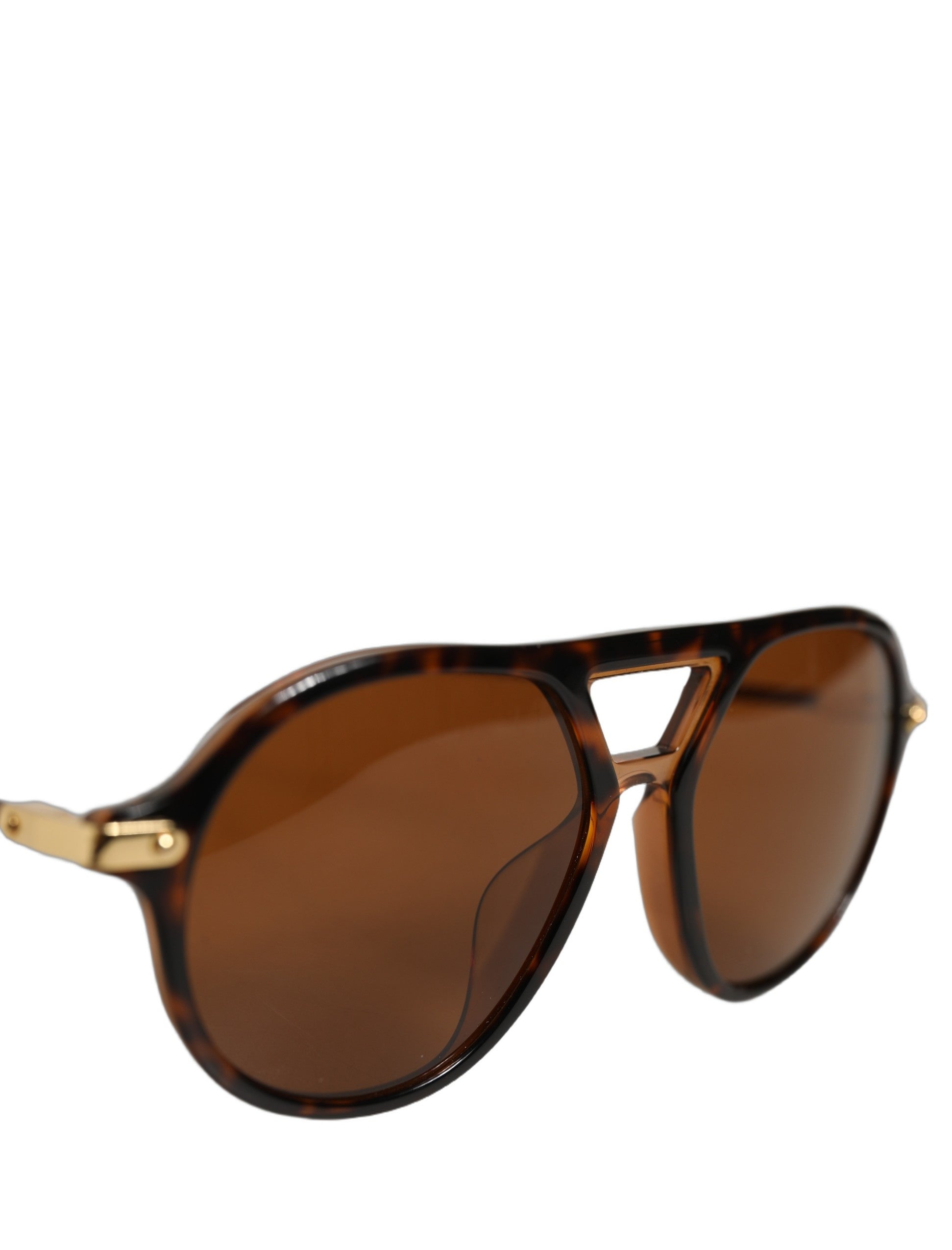 Brown DG4343F Havana Tortoise Women Eyewear Sunglasses
