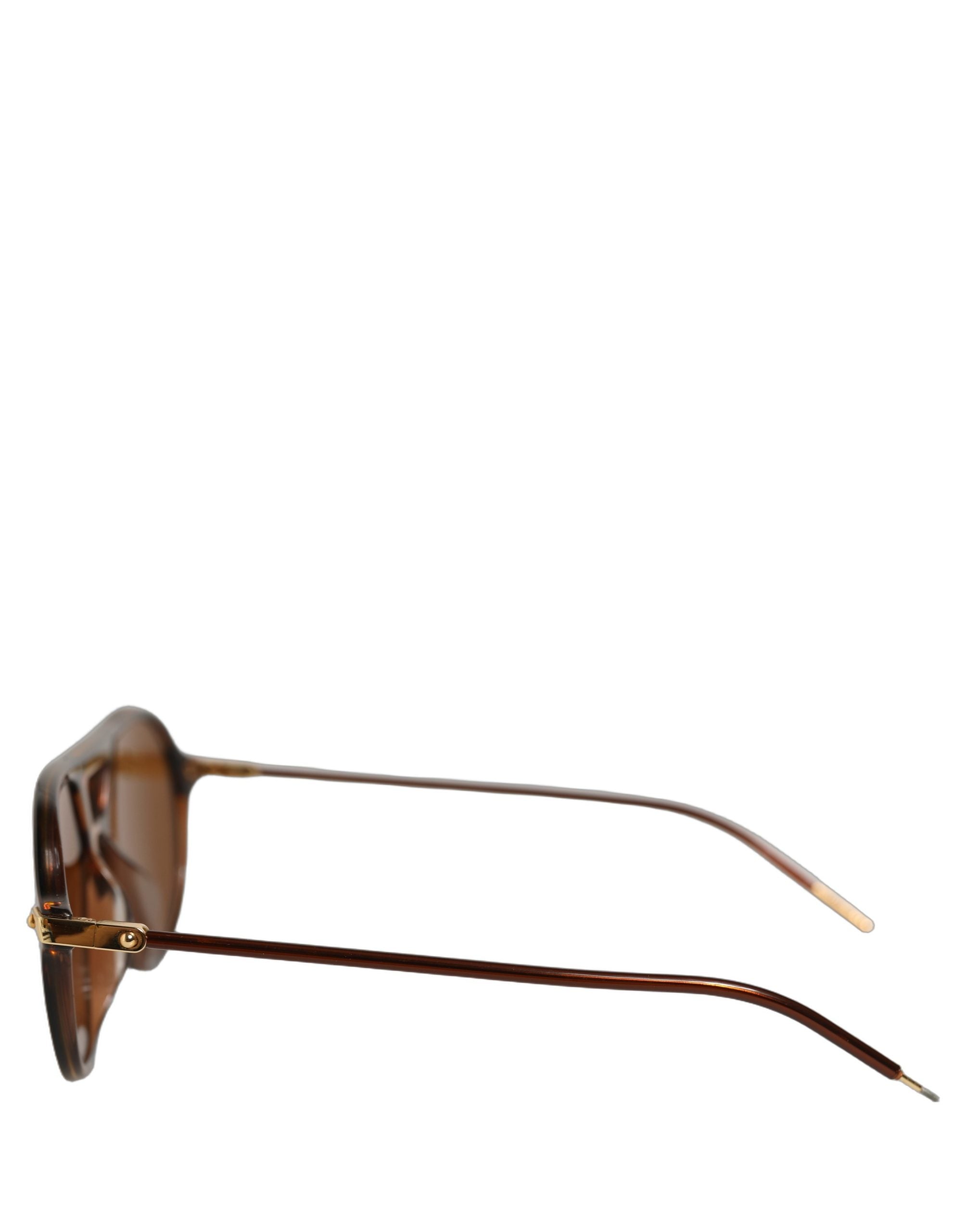Brown DG4343F Havana Tortoise Women Eyewear Sunglasses