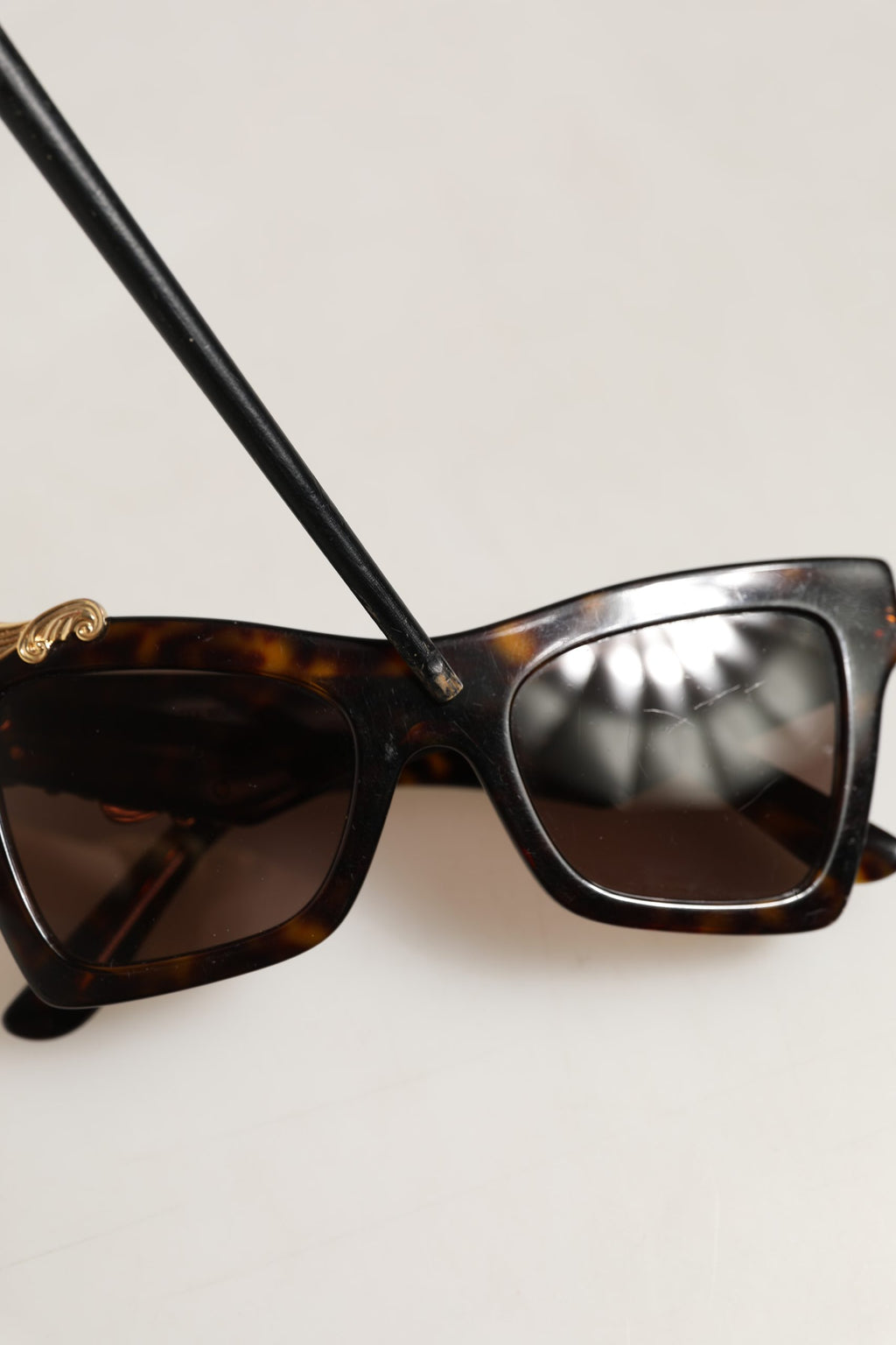 Brown DG4434 Accent Havana Acetate Frame Sunglasses