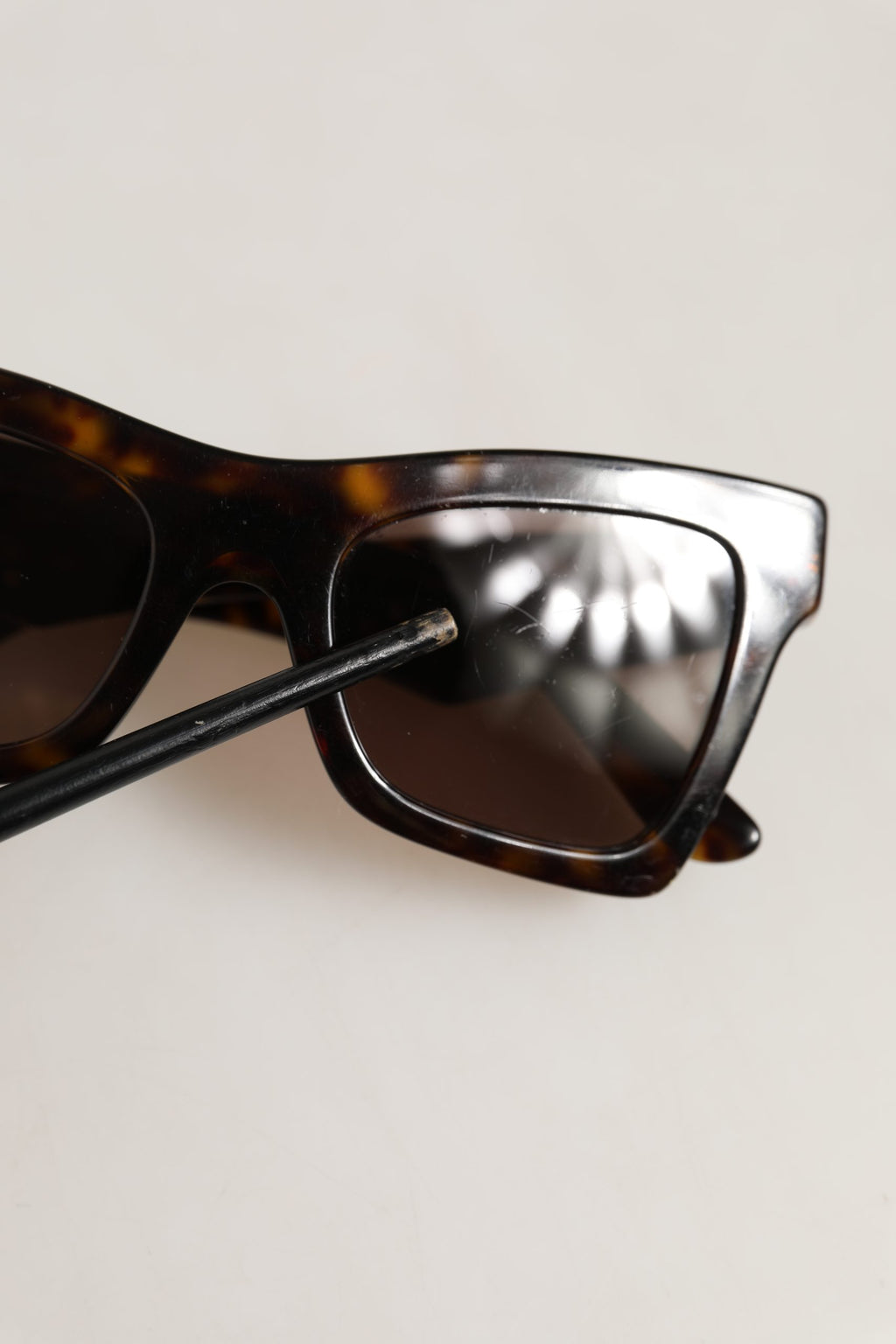 Brown DG4434 Accent Havana Acetate Frame Sunglasses