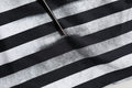 Blue Striped Print Cotton Crew Neck T-shirt
