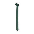 emilio romanelli - unitoslim_001-verde
