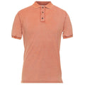 alpha studio - polo rosa dye