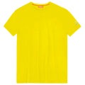 suns - paul lomellina giallo